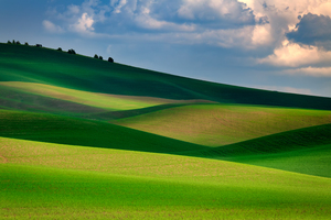 The Palouse in Light and Shadow