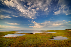 Paines Creek Beach