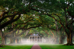 Oak Alley Plantation