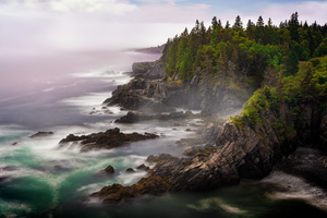 Cutler Coast