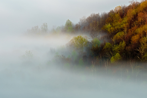 The Emergence of Spring