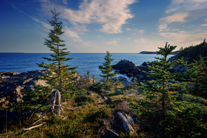 Hamilton Cove