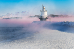 Spring Point Freeze