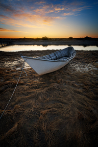 Moored in the Marsh