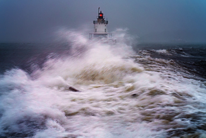 Fury at the Harbor Gates