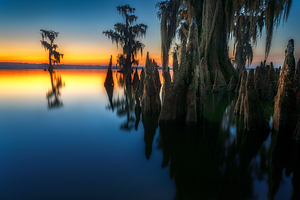 Dawn in Louisiana by Rick Berk