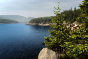 Afternoon Fog in Otter Cove
