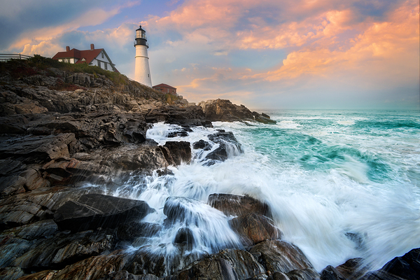 Golden Hour Vigilance Print