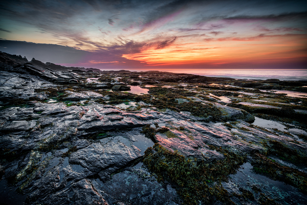 Low Tide at Two Lights by Rick Berk