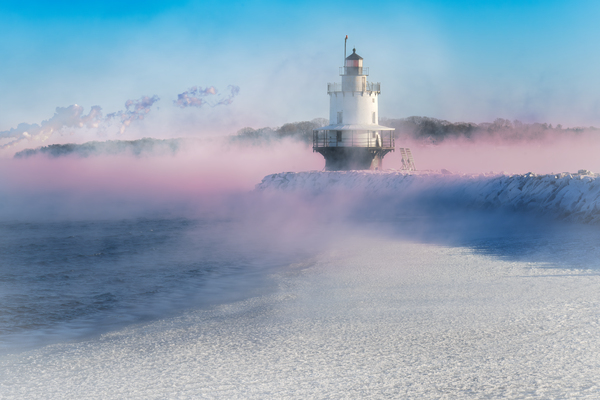 Spring Point Freeze Print