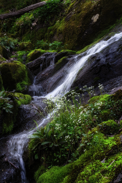 Jones Run Falls I by Rick Berk