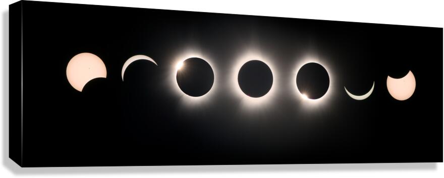 Progression 2024 Canvas Print