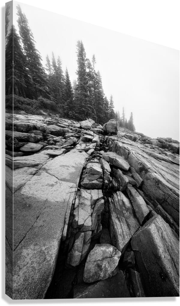 Granite & Pine Canvas Print