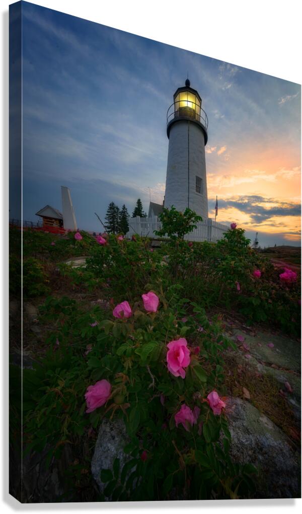 Twilight Bloom Canvas Print