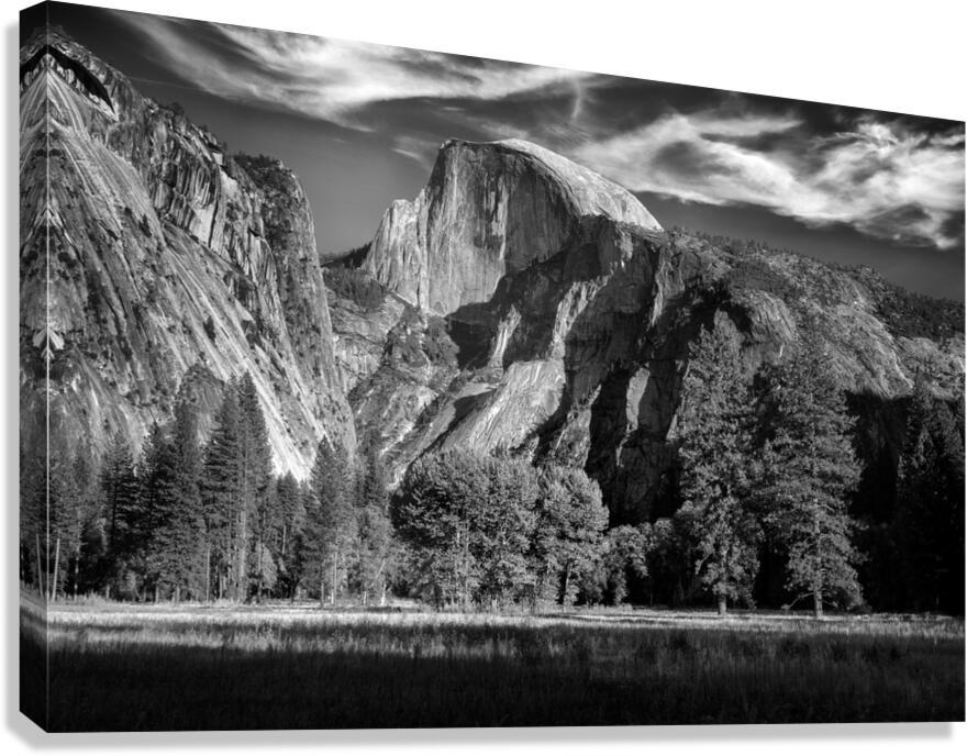 Tis sa ack Canvas Print