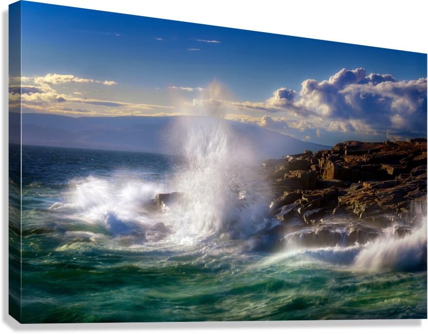 Schoodic  Point Canvas Print