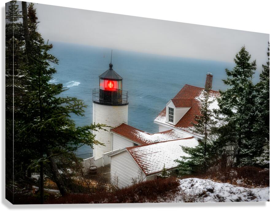 Winter Watch Canvas Print