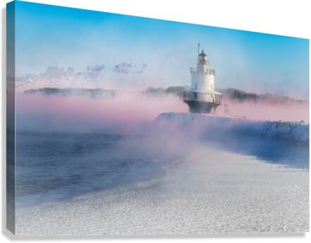 Spring Point Freeze Canvas Print
