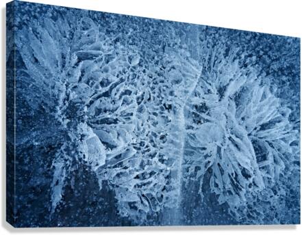 Ice Abstract Canvas Print