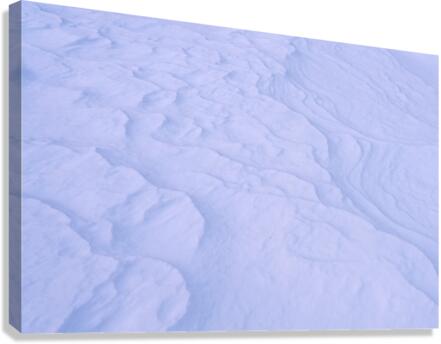 Wind-Driven Canvas Print