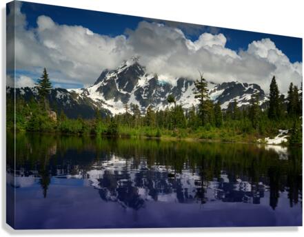 Head in the Clouds Canvas Print