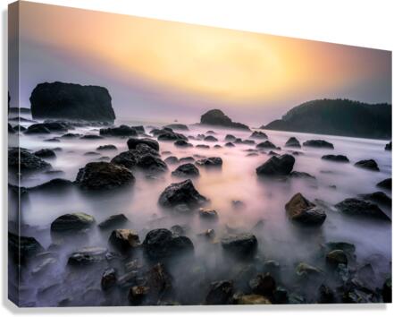 Ecola Canvas Print