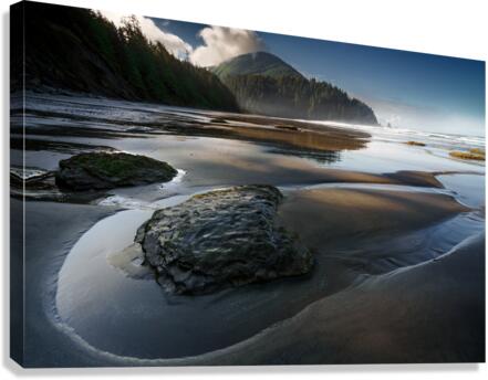 Tidal Treasures Canvas Print