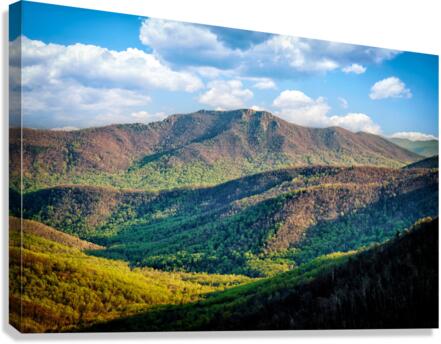 Old Rag II Canvas Print