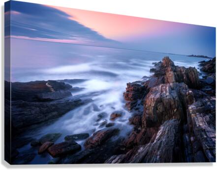 Timeless Canvas Print