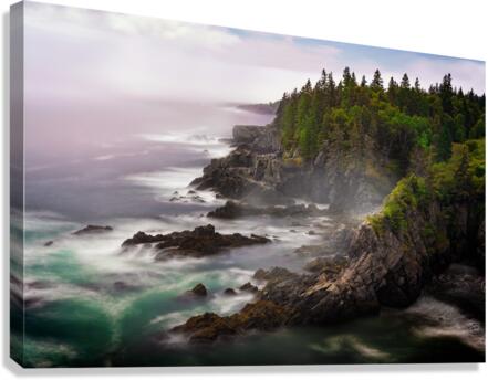 Cutler Coast Canvas Print