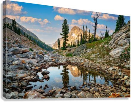 Mount Regan Reflection Canvas Print