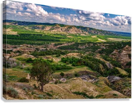Oxbow Overlook Canvas Print