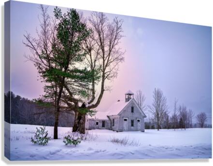 Snow Day Canvas Print