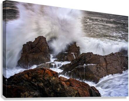 Tempest  Canvas Print