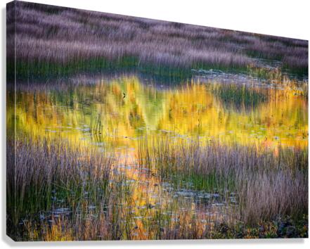 The Tarn Canvas Print