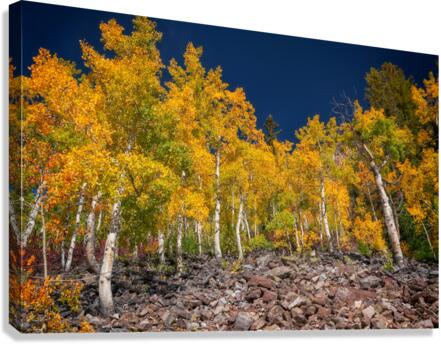 Blue & Gold Canvas Print