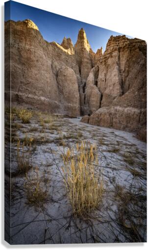Badlands V Canvas Print