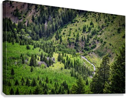 Sun Valley Canvas Print