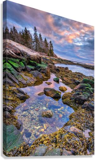 Tidal Serenity Canvas Print
