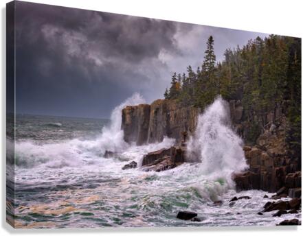Tempest Canvas Print