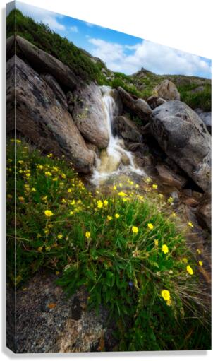 Alpine Cascade Canvas Print