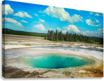 Opal Pool Canvas Print
