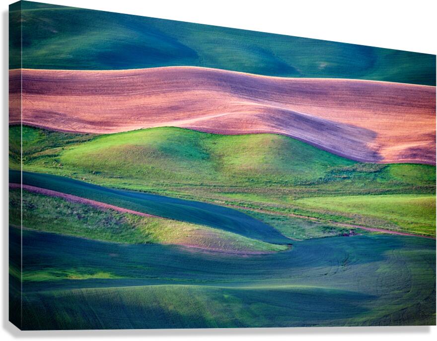 Palouse Undulation Canvas Print