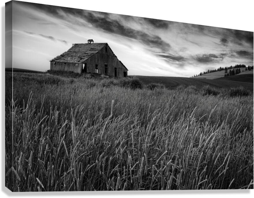 Forgotten in the Fields Canvas Print