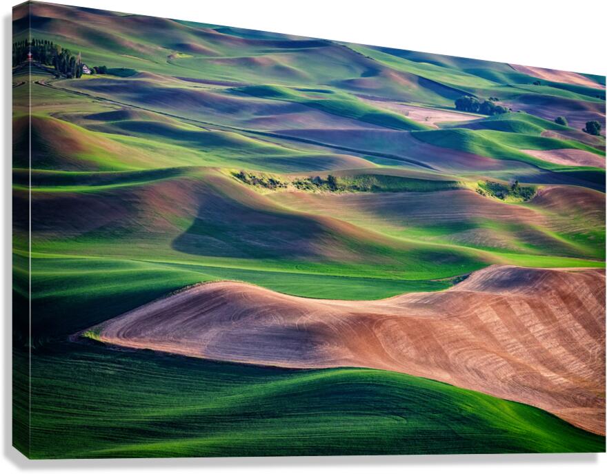 Undulation Canvas Print