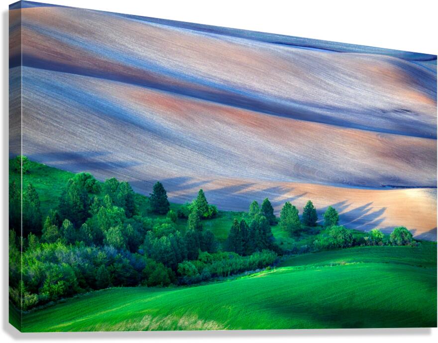 Palouse Shadows Canvas Print