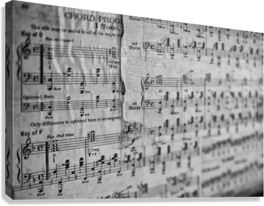 Chord Progression Canvas Print