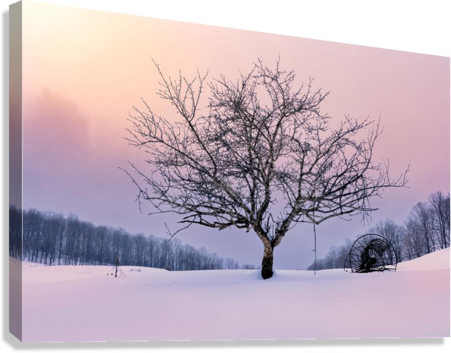 Winter Twilight Canvas Print