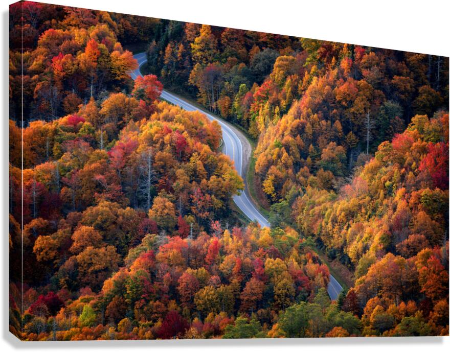 Newfound Gap Canvas Print