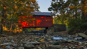 Roddy Autumn Sunrise